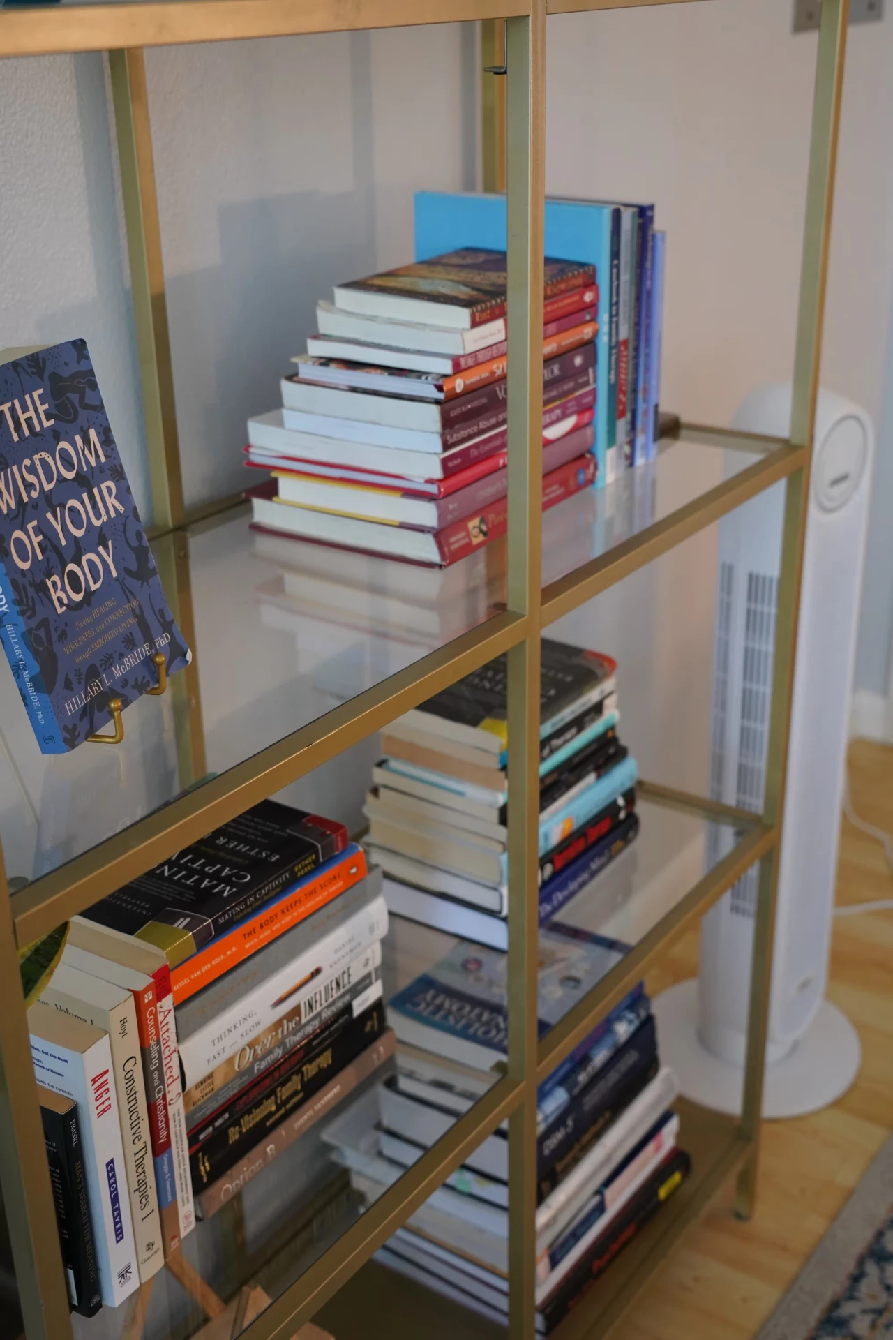 Bookshelf in the Navigate Therapy counseling office