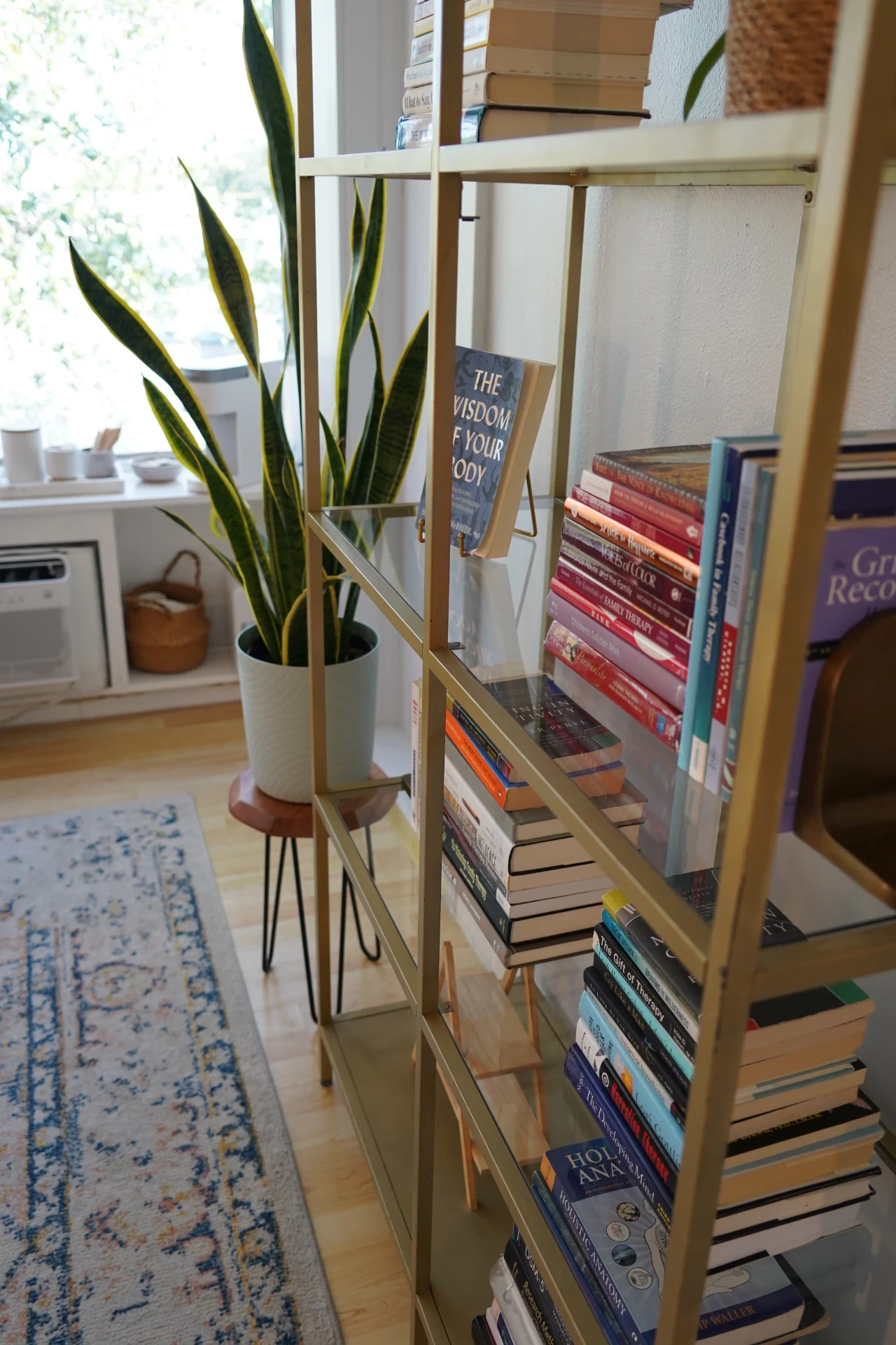 Bookshelf detail in the Navigate Therapy office